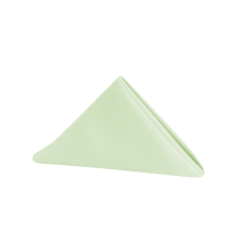 Polyester Napkin Sage Green