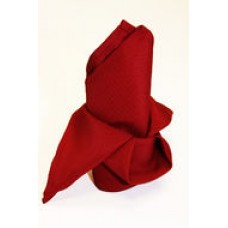 Polyester Napkin Apple Red