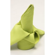 Polyester Napkin Apple Green