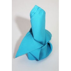 Polyester Napkin Aqua Blue