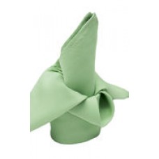 Polyester Napkin Mint Green