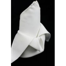 Polyester Napkin White