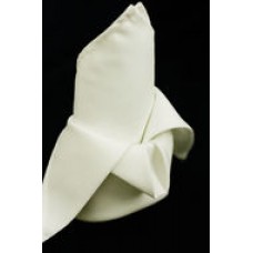 Polyester Napkin Off White/Light Ivory