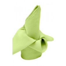 Polyester Napkin Pastel Lime Green 